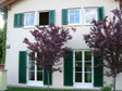 Grne Fenster